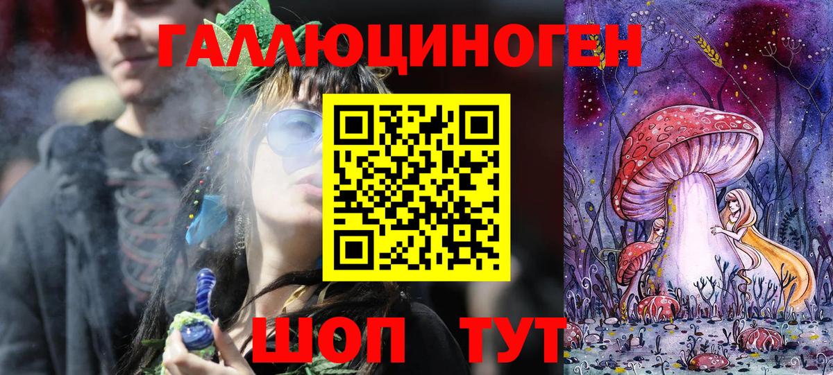 Псилоцибиновые грибы Cubensis Ишим