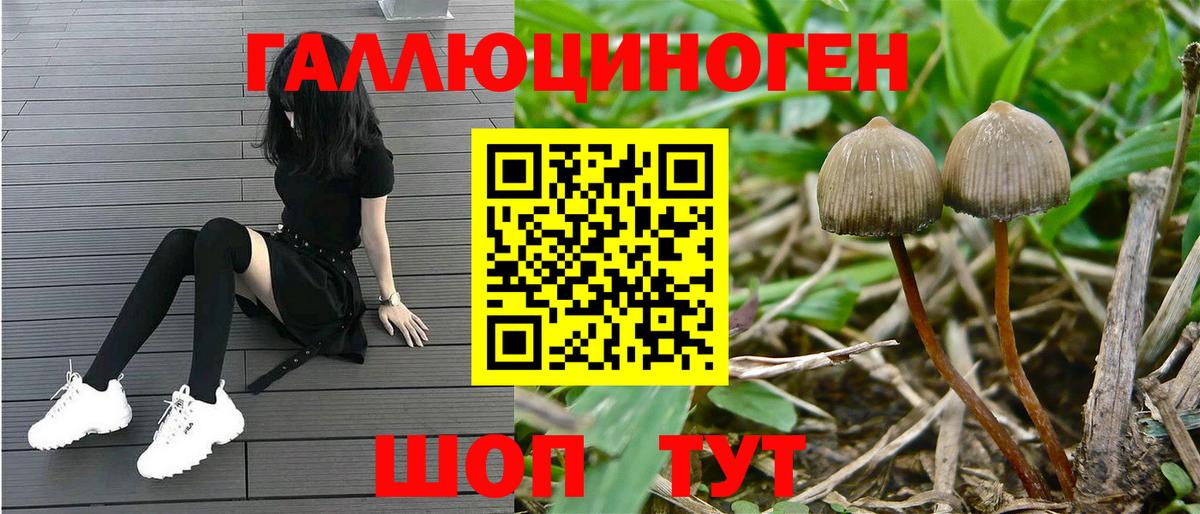 Псилоцибиновые грибы мицелий  Вход с VPN  Ишим  Галлюциногенные грибы MAGIC MUSHROOMS 
